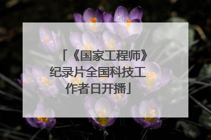 《国家工程师》纪录片全国科技工作者日开播