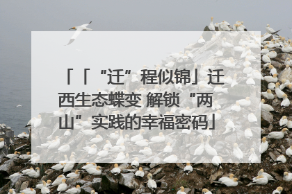 「“迁”程似锦」迁西生态蝶变 解锁“两山”实践的幸福密码