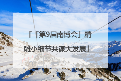 「第9届南博会」精雕小细节共谋大发展