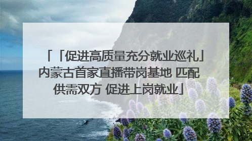「促进高质量充分就业巡礼」内蒙古首家直播带岗基地 匹配供需双方 促进上岗就业