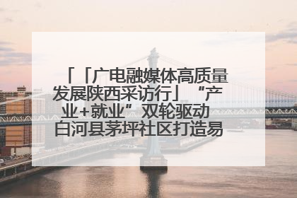 「广电融媒体高质量发展陕西采访行」“产业+就业”双轮驱动 白河县茅坪社区打造易地搬迁后扶新样本