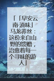 「早安云南·滇味」马龙荞丝：这份来自山野的馈赠，治愈着每一个寻味的游人