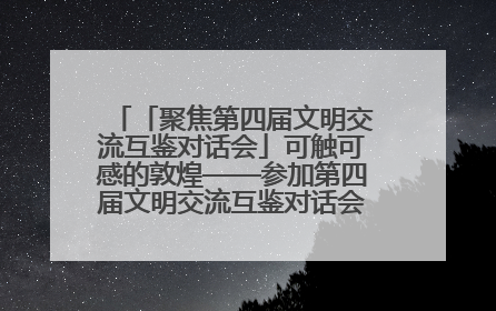 「聚焦第四届文明交流互鉴对话会」可触可感的敦煌——参加第四届文明交流互鉴对话会的外宾参观上元市集