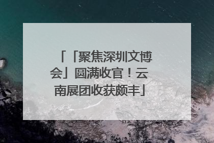 「聚焦深圳文博会」圆满收官！云南展团收获颇丰
