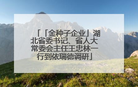 「金种子企业」湖北省委书记、省人大常委会主任王忠林一行到依瑞德调研