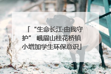 “生命长江·由我守护” 峨眉山桂花桥镇小增加学生环保意识