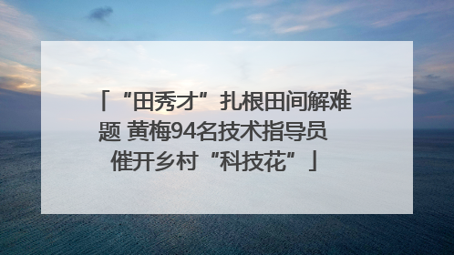 “田秀才”扎根田间解难题 黄梅94名技术指导员催开乡村“科技花”