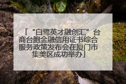 “白鹭英才融创汇”台商台胞金融信用证书综合服务政策发布会在厦门市集美区成功举办