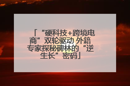 “硬科技+跨境电商”双轮驱动 外籍专家探秘碑林的“逆生长”密码