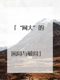 “网大”的困局与破局