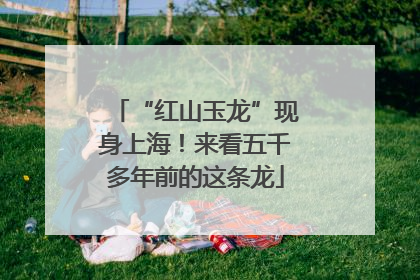 “红山玉龙”现身上海！来看五千多年前的这条龙