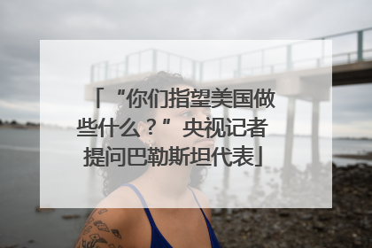 “你们指望美国做些什么？”央视记者提问巴勒斯坦代表