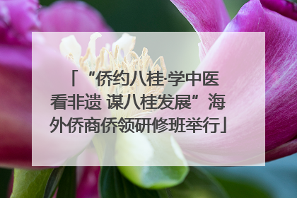 “侨约八桂·学中医 看非遗 谋八桂发展”海外侨商侨领研修班举行