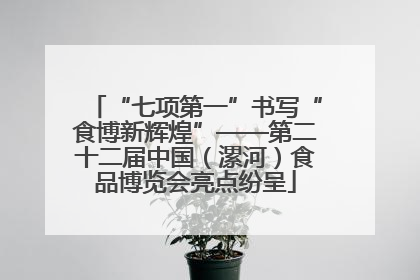 “七项第一”书写“食博新辉煌”——第二十二届中国（漯河）食品博览会亮点纷呈