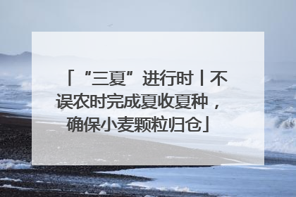 “三夏”进行时丨不误农时完成夏收夏种，确保小麦颗粒归仓