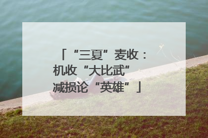 “三夏”麦收：机收“大比武” 减损论“英雄”