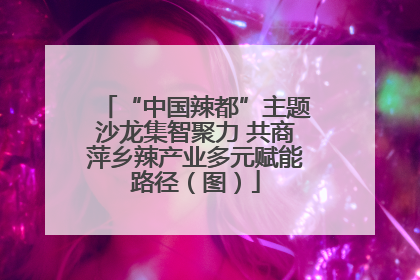“中国辣都”主题沙龙集智聚力 共商萍乡辣产业多元赋能路径（图）