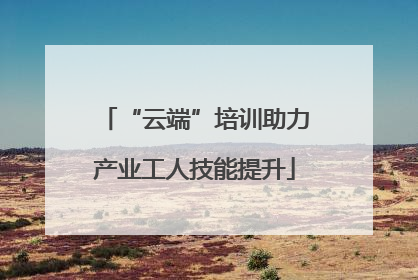 “云端”培训助力产业工人技能提升