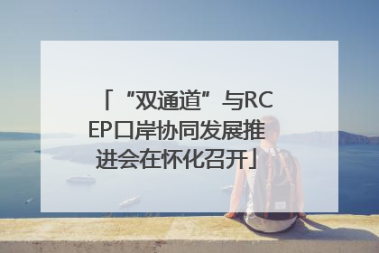 “双通道”与RCEP口岸协同发展推进会在怀化召开