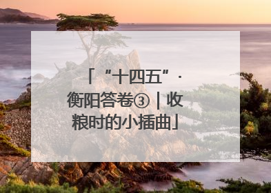 “十四五”·衡阳答卷③｜收粮时的小插曲