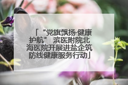 “党旗飘扬·健康护航” 滨医附院北海医院开展进盐企筑防线健康服务行动