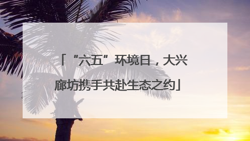 “六五”环境日，大兴廊坊携手共赴生态之约
