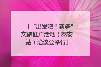 “出发吧！新疆”文旅推广活动（泰安站）洽谈会举行