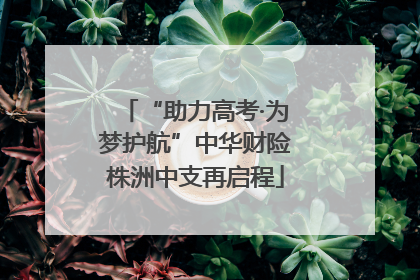 “助力高考·为梦护航”中华财险株洲中支再启程