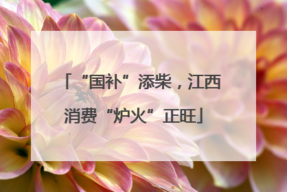 “国补”添柴，江西消费“炉火”正旺
