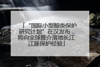 “国际小型鲸类保护研究计划”在汉发布，将向全球推介落地长江江豚保护经验