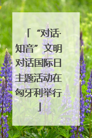 “对话·知音”文明对话国际日主题活动在匈牙利举行