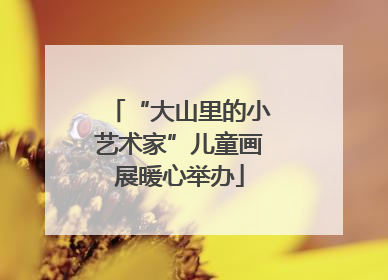 “大山里的小艺术家”儿童画展暖心举办