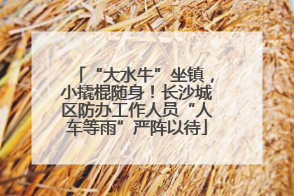 “大水牛”坐镇，小撬棍随身！长沙城区防办工作人员“人车等雨”严阵以待