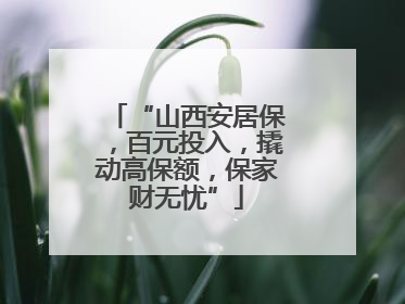 “山西安居保，百元投入，撬动高保额，保家财无忧”