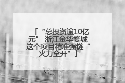 “总投资逾10亿元” 浙江金华婺城这个项目精准强链“火力全开”