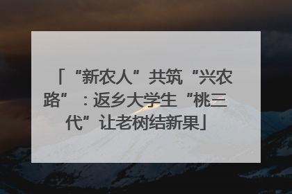 “新农人”共筑“兴农路”：返乡大学生“桃三代”让老树结新果