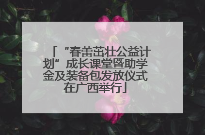 “春蕾茁壮公益计划”成长课堂暨助学金及装备包发放仪式在广西举行
