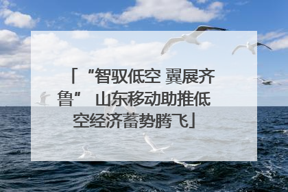 “智驭低空 翼展齐鲁” 山东移动助推低空经济蓄势腾飞