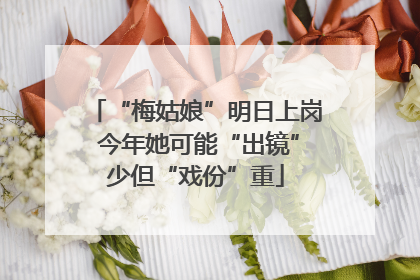 “梅姑娘”明日上岗 今年她可能“出镜”少但“戏份”重