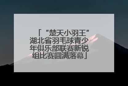 “楚天小羽王”湖北省羽毛球青少年俱乐部联赛新锐组比赛圆满落幕
