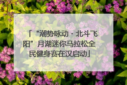 “潮势咏动・北斗飞阳”月湖迷你马拉松全民健身赛在汉启动