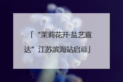 “茉莉花开·盐艺直达”江苏滨海站启幕