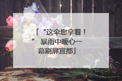 “这伞您拿着！” 暴雨中暖心一幕刷屏宜都