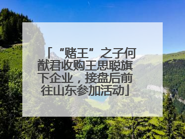 “赌王”之子何猷君收购王思聪旗下企业，接盘后前往山东参加活动