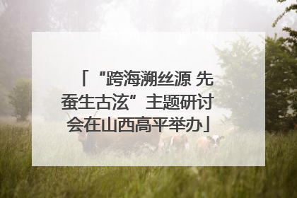 “跨海溯丝源 先蚕生古泫”主题研讨会在山西高平举办