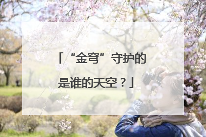 “金穹”守护的是谁的天空？
