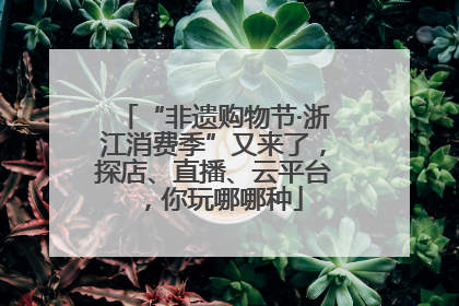 “非遗购物节·浙江消费季”又来了，探店、直播、云平台，你玩哪哪种
