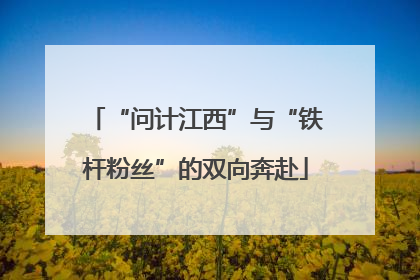 “问计江西”与“铁杆粉丝”的双向奔赴