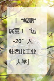 “鲲鹏”展翼！“运-20”入驻西北工业大学