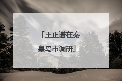 王正谱在秦皇岛市调研